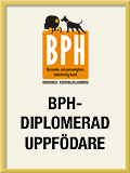 bph-diplomerad-uppfodare_120px[1]